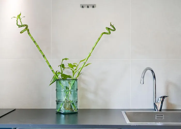 Gioberti House * Torino